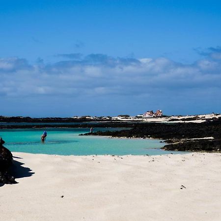Loti Cotillo Luaran gambar