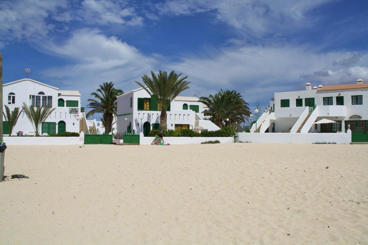 Loti Cotillo Luaran gambar