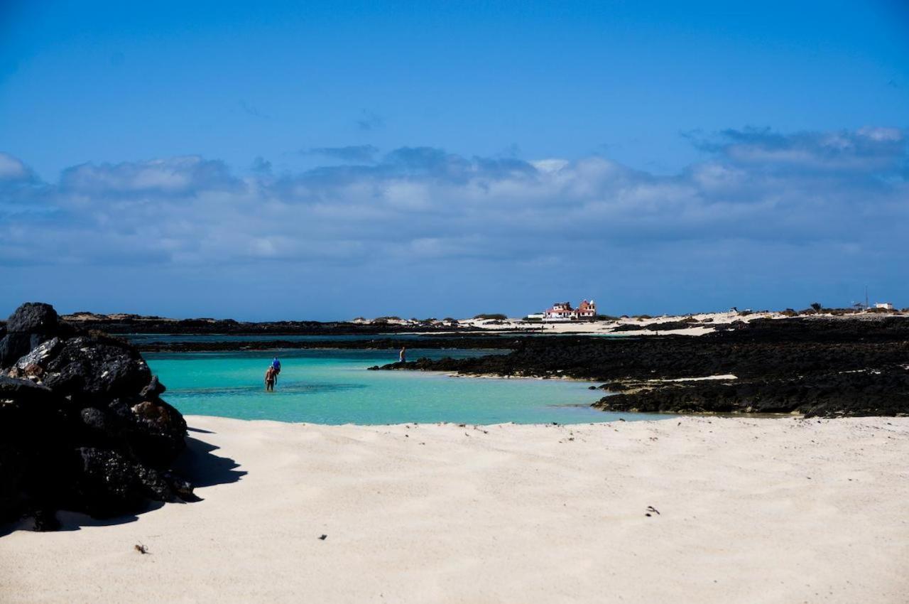Loti Cotillo Luaran gambar